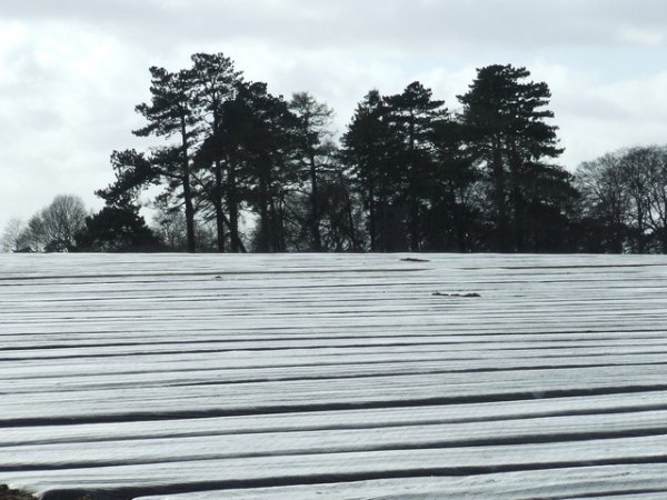 Northwich Manufacturing history